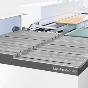 1546014408_return-conveyor-LOOPTEQ-O-200